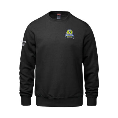 Vault Unisex 2025 Provincial Emblem Printed Crewneck Thumbnail